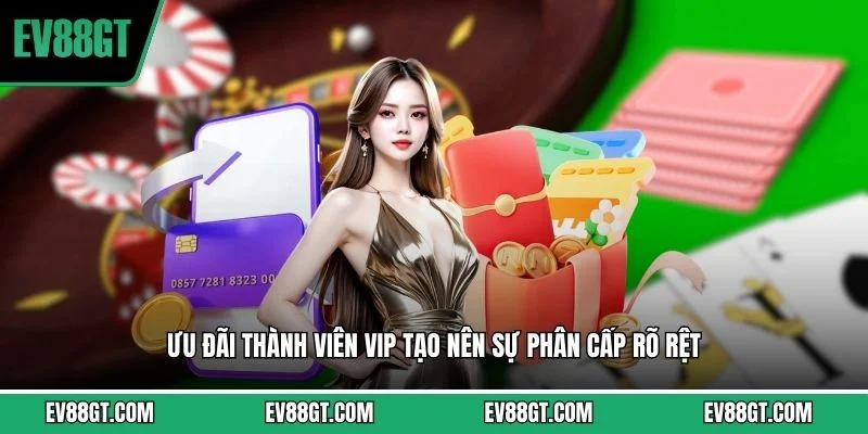 Ưu đãi thành viên VIP tạo nên sự phân cấp rõ rệt